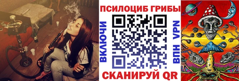 Купить где  Ивдель  Галлюциногенные грибы прущие грибы 